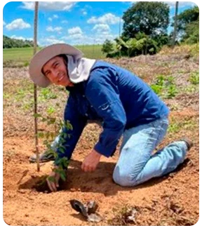 Fotos sustentabilidade brmill