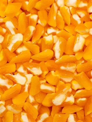 brmill BR 08 – CANJICA AMARELA