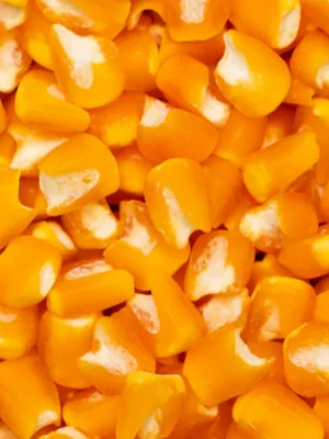 brmill BR 10 - CANJICÃO